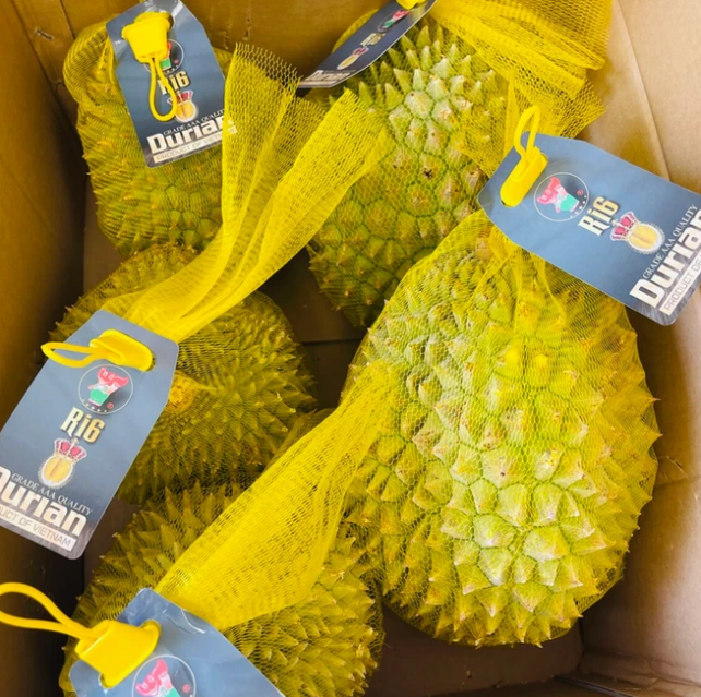 WHOLE DURIAN